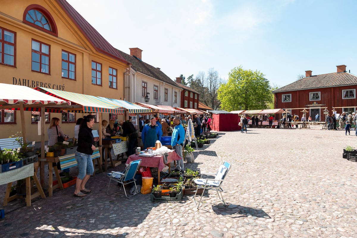 linkoping2